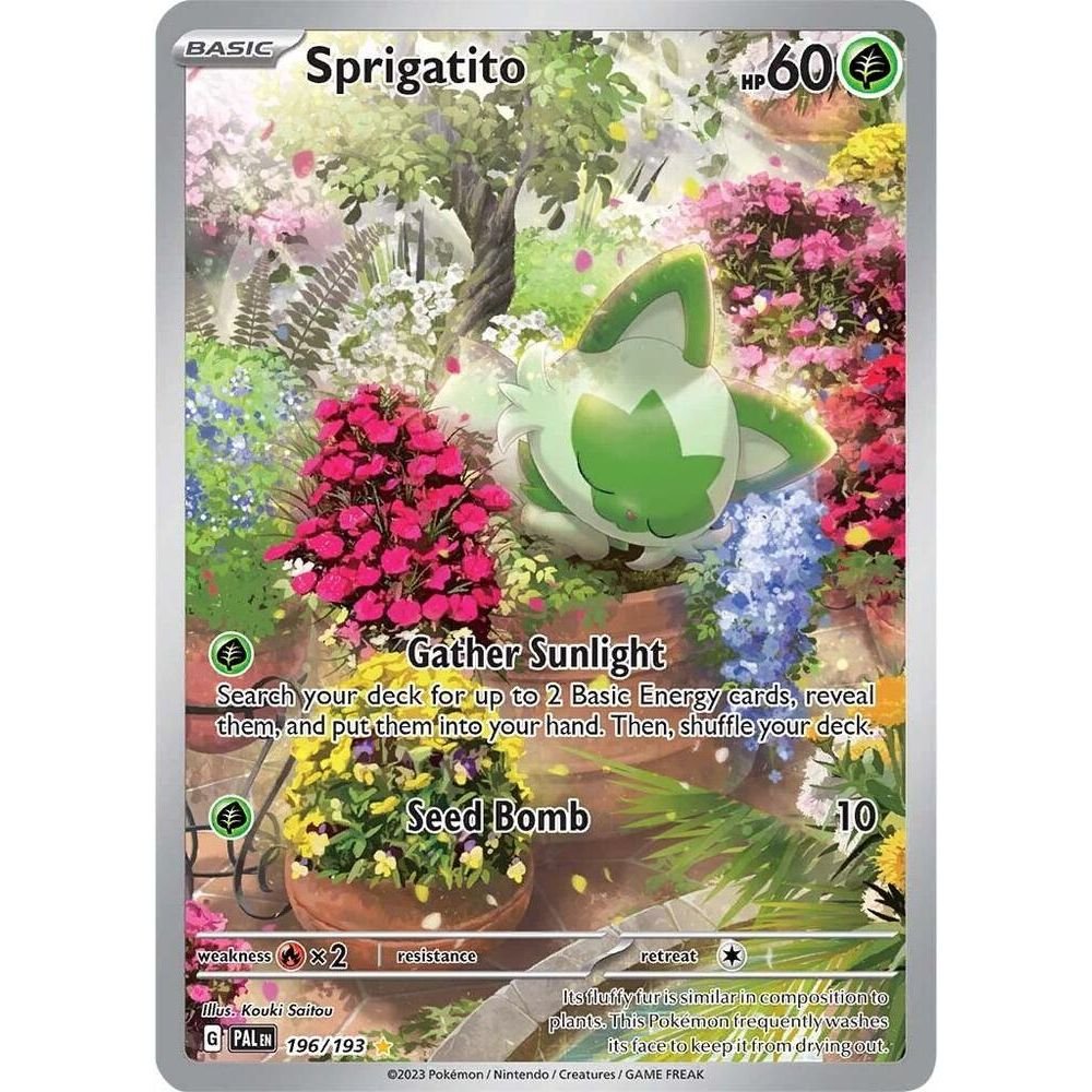 Pokemon Scarlet & Violet Paldea Evolved Build & Battle Stadium